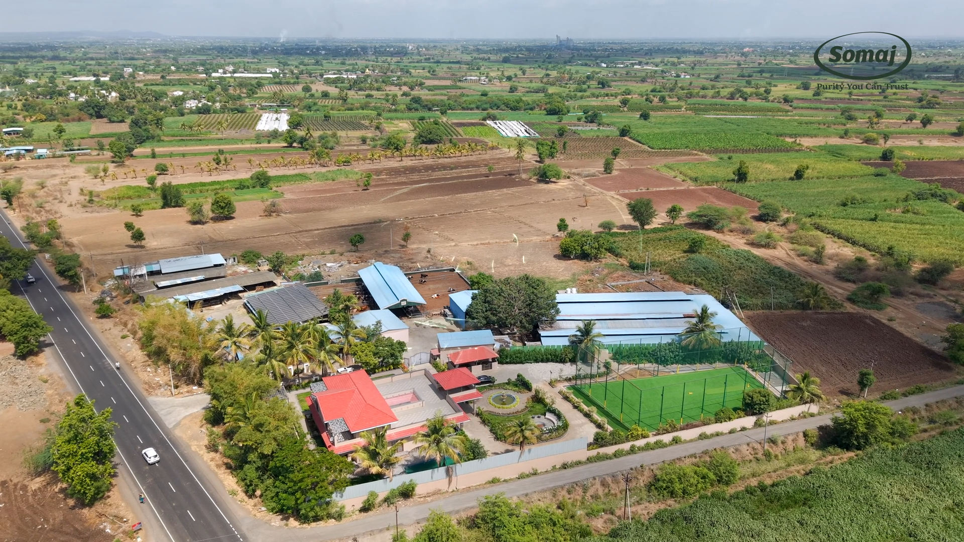 SOMAJ dairy farm with Holstein Friesian cows